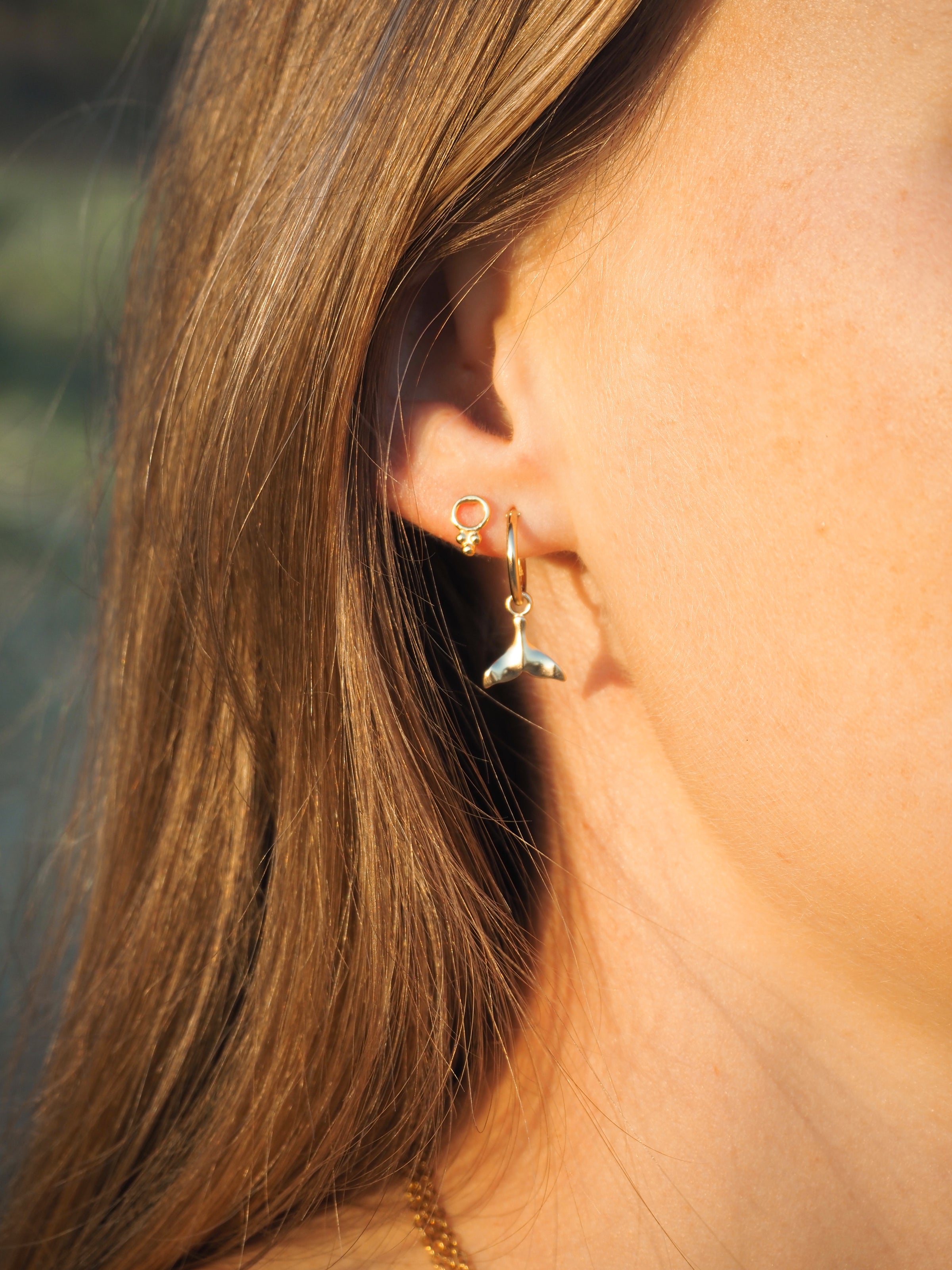 Whale Tail Earrings 18K Gold | Alesi Jewellery